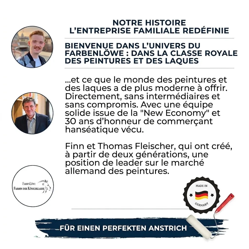3 i 1 Purpurviolett RAL 4007 Rostskyddsfärg - Hamburger Lack-Profi